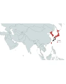 FS BIRDS - ASIA EAST MSFS