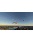 FS BIRDS - ASIA EAST MSFS