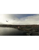 FS BIRDS - ASIA EAST MSFS