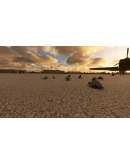 FS BIRDS - ASIA EAST MSFS