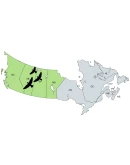 FS Birds - Canada West MSFS FS Birds - Canada West MSFS