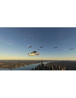 FS Birds - Europe Central MSFS