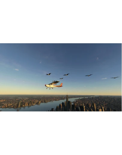 FS Birds - Europe Central MSFS