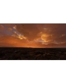 FS Birds - Europe North MSFS