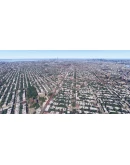 Global Trees MSFS24 MSFS 2024