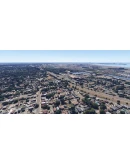 Global Trees MSFS24 MSFS 2024