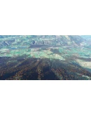 Global Trees MSFS24 MSFS 2024