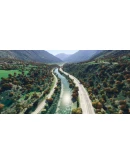 Global Trees MSFS24 MSFS 2024