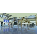 KDCA Washington National Airport MSFS