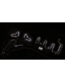 KLGA LaGuardia Airport 2023 XP11