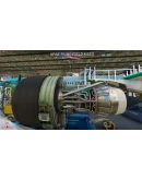 KPAE Paine Field MSFS