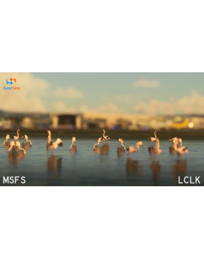 LCLK Larnaca International Airport MSFS