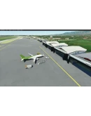 LICA Lamezia Terme Sant'Eufemia Airport MSFS