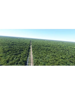 North America Railways Tree Clearing MSFS