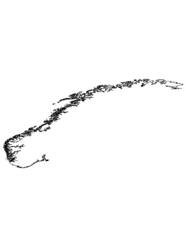 Norway Coastlines Morphing Fix MSFS