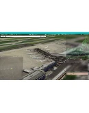 Real Traffic for Tower! 3D Tower! 3D, Tower! 3D Pr