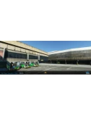 SBGR So Paulo Guarulhos Airport MSFS