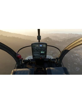 Schweizer S300CBI MSFS