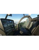 Schweizer S300CBI MSFS