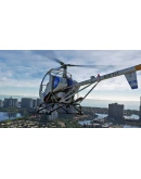 Schweizer S300CBI MSFS