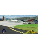 SKYP El Alcaravan Airport MSFS