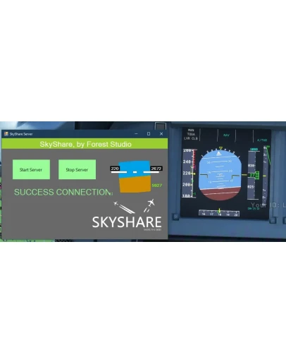 SkyShare: Shared Cockpit Controls MSFS