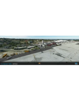 TAPA V.C. Bird International Airport MSFS