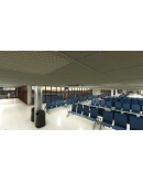 TGPY Maurice Bishop International MSFS