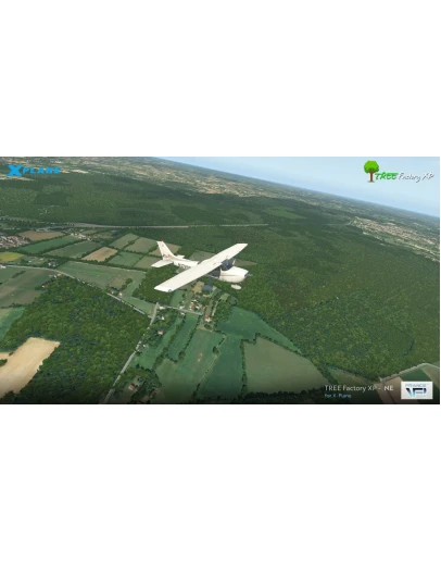 Tree Factory North-East XP 11/12