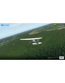 Tree Factory North-East XP 11/12