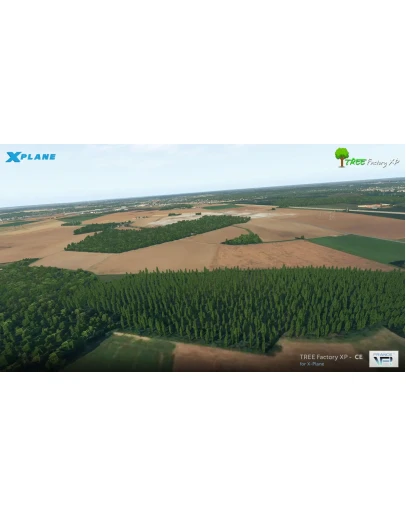 TREE FACTORY XP Center XP 11/12