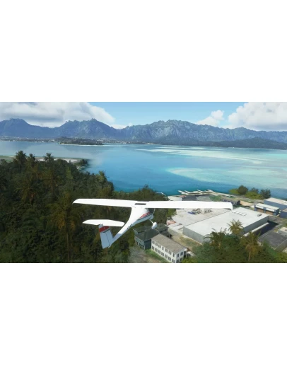 Trees LOD Fix & Summer Season Enhancement MSFS Trees LOD Fix & Summer Season Enhancement MSFS