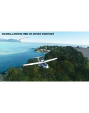 Trees LOD Fix & Summer Season Enhancement MSFS Trees LOD Fix & Summer Season Enhancement MSFS