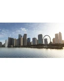 USA Modern Cities Vol.1 - 4 Major Cities MSFS