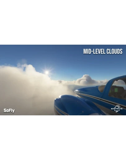 Weather Preset Pro MSFS
