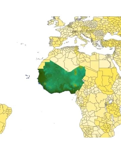 West Africa Terrain Mesh Bundle MSFS 2020, P3D,..