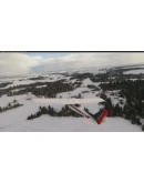 Winter Season Trees Modification MSFS