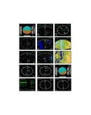 Airbus A320 Family Panels by NPSimPanels MSFS, P3D