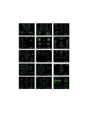 Airbus A320 Family Panels by NPSimPanels MSFS, P3D