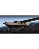 C208B Grand Caravan EX G1000 X-Plane 11