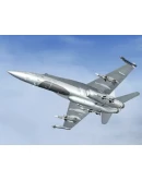 CAF CF-18 Hornet Military Pack V2.0 by AerialFoun...