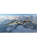 DC DESIGNS F-15 C/D/E/I Eagle MSFS