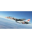 F-14 Tomcat MSFS