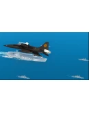 F-5A Freedom Fighter & F-5E Tiger II MSFS F-5A Freedom Fighter & F-5E Tiger II MSFS