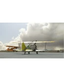 Grumman F3F-2 Flying Barrel MSFS