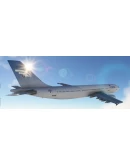 iniBuilds A300-600R Snow Livery MSFS