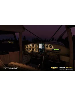 Maule M7-235 MSFS 20/24