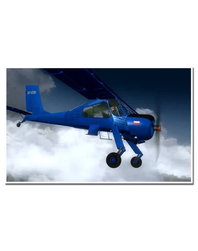 PZL-104 Wilga X X-Plane 11, 12