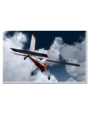 PZL-104 Wilga X X-Plane 11, 12