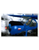 PZL-104 Wilga X X-Plane 11, 12